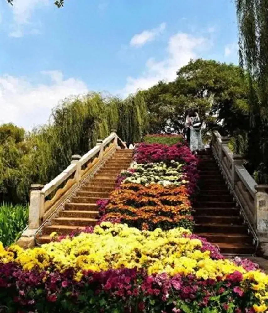 63e37a04dc694093bdebbd0c45c07e95~noop_看图王.web.jpg