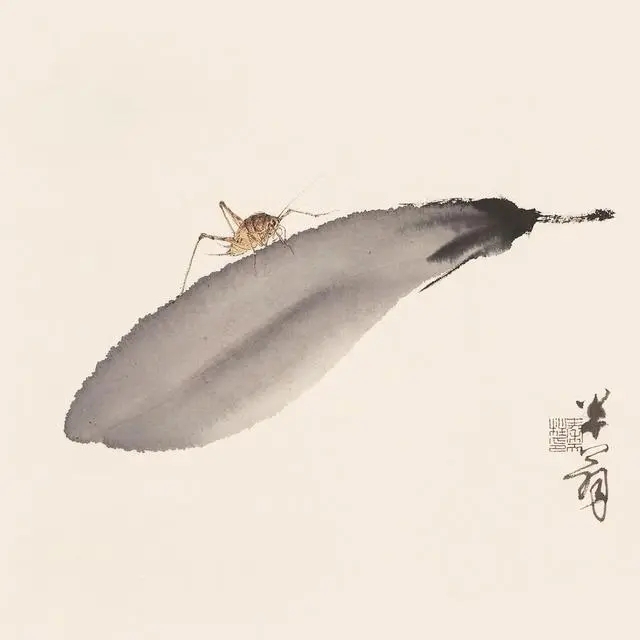 267f9e2f0708283845db3cd91c44ef0f4e08f111_看图王.web.jpg