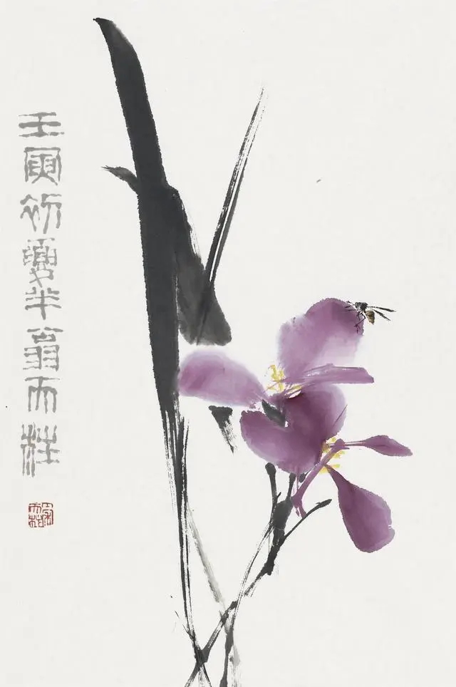0d338744ebf81a4c4af79f3c72f72657272da66d_看图王.web.jpg