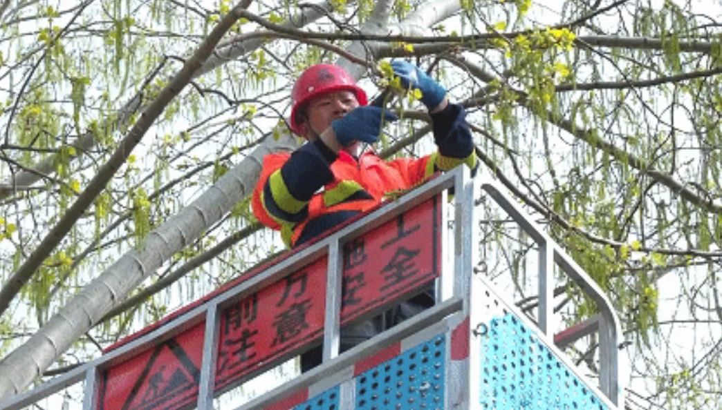 微信图片_20250407082719.jpg
