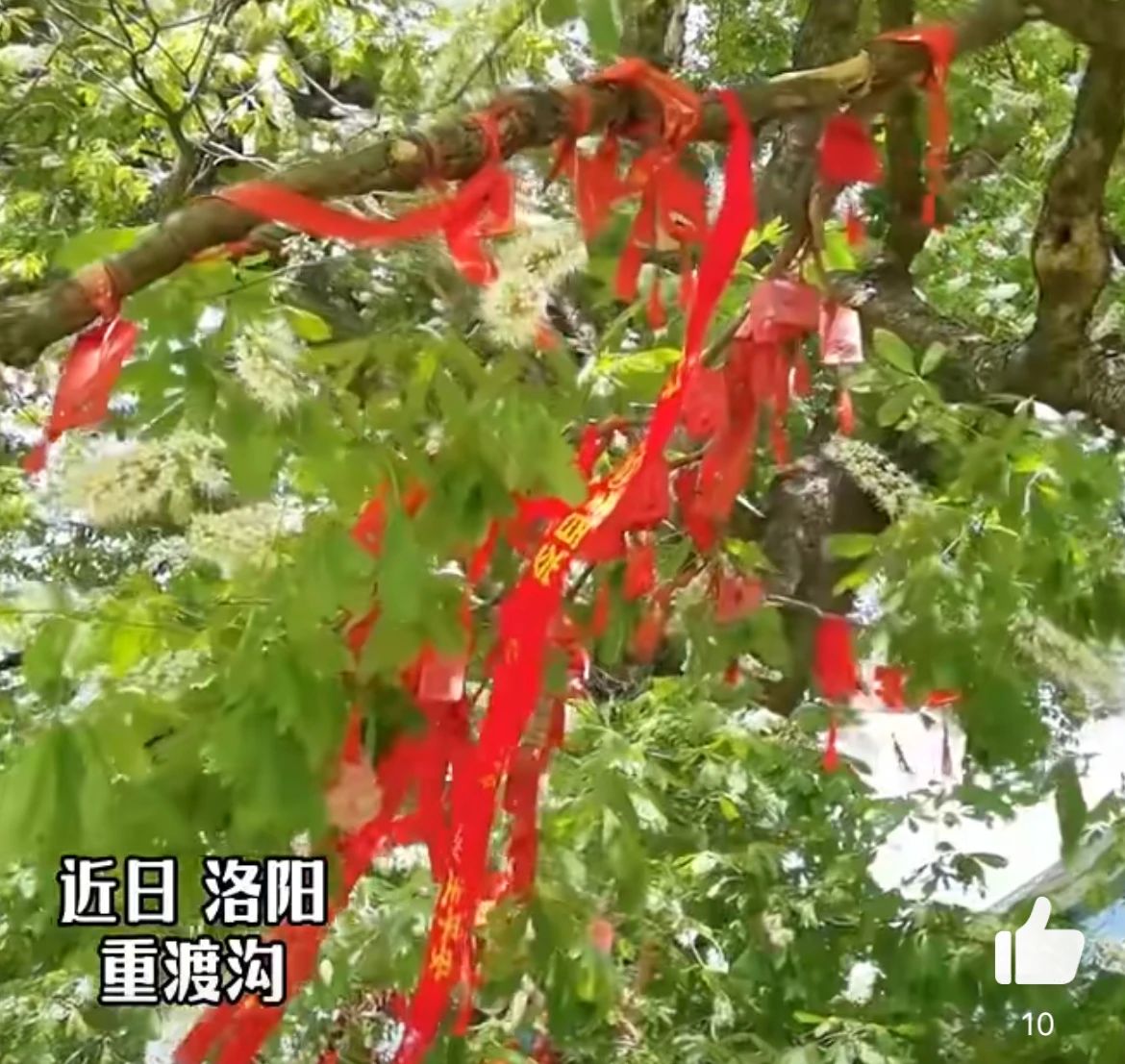微信图片_20250517081052.jpg