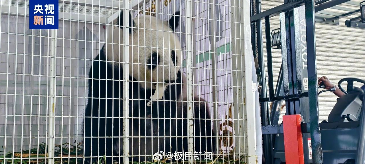 微信图片_20250519070615.jpg