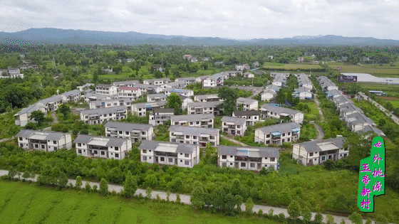 微信图片_20250527161057.gif