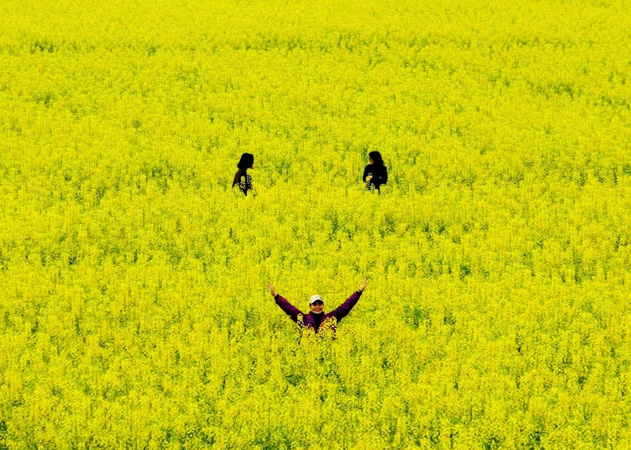 微信图片_20250527161124.jpg